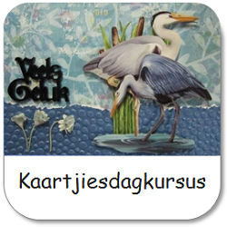 Kaartjiesdagkursus