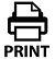 print_icon